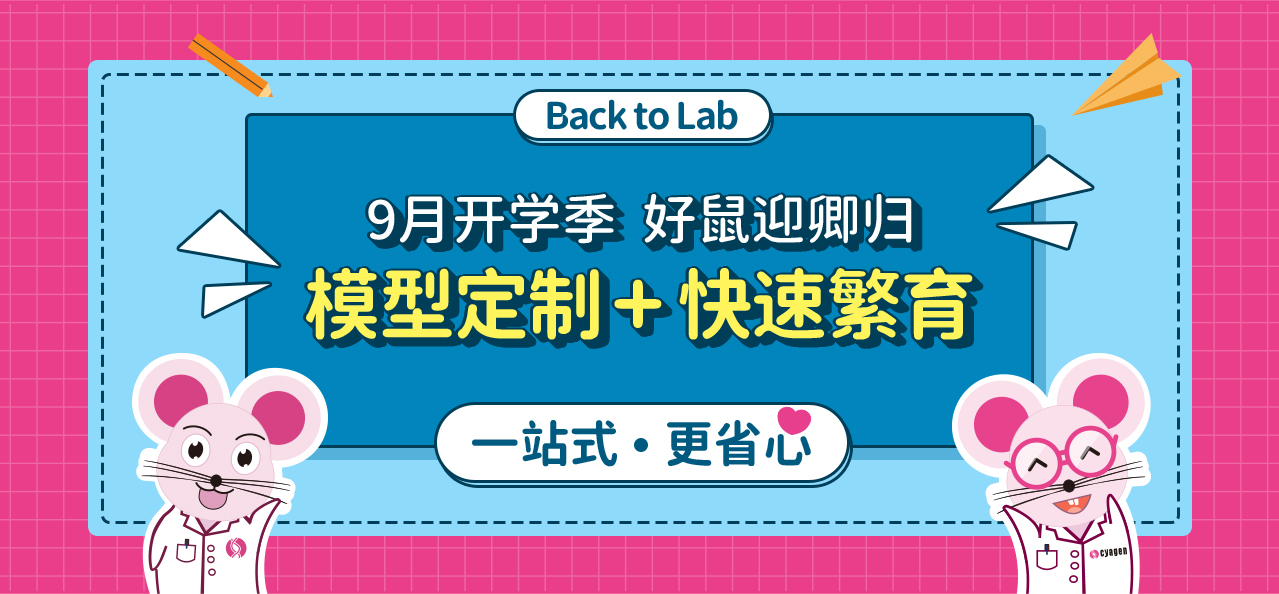 Back to Lab 9月开学季  好鼠迎卿归 模型定制+快速繁育 一站式 更省心