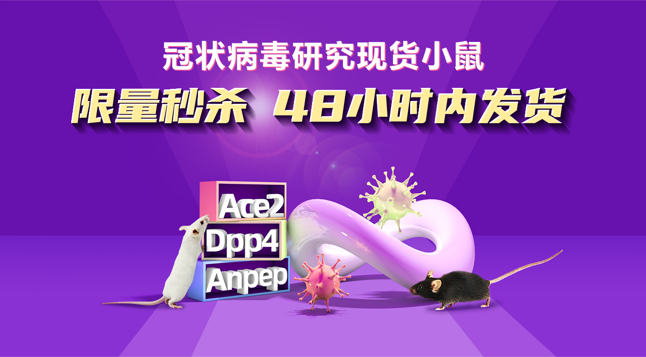 冠状病毒研究现货小鼠 限量秒杀 48小时内发货