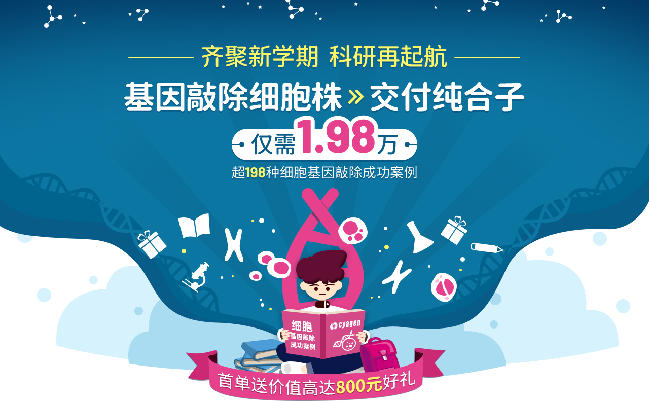 齐聚新学期 科研再起航  基因敲除细胞株 交付纯合子 仅需1.98万 超198种细胞基因敲除成功案例