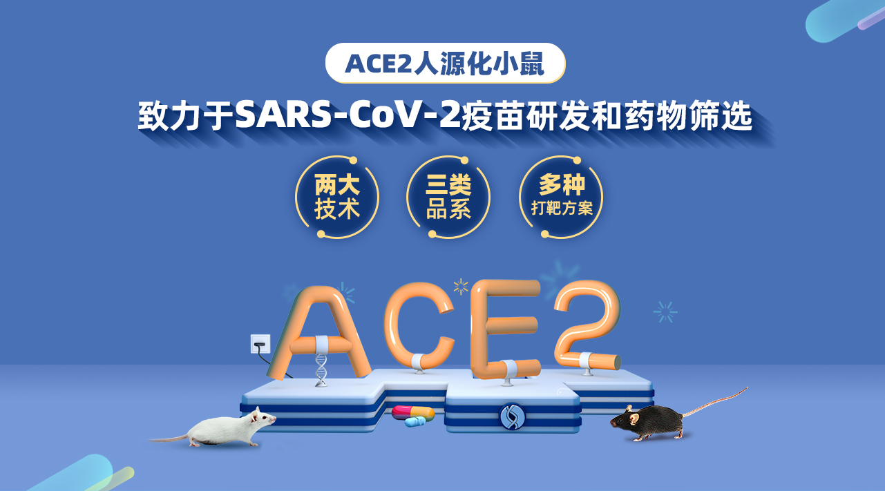 ACE2人源化小鼠 致力于SARS-CoV-2疫苗研发和药物筛选 两大技术、三类品系、多种打靶方案