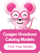 Knockout Mice | Ready-to-Use KO Mice Model