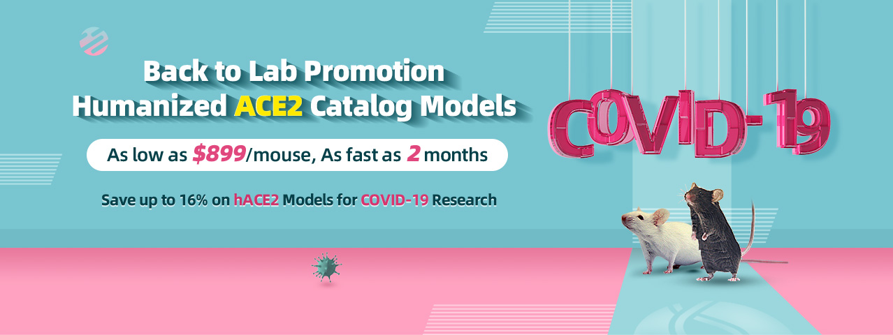 Save up to 16% on hACE2 Models for COVID-19 Research